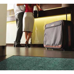 Cactus Mat, 1485M-G46, Floor Mat, Carpet